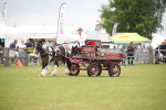SBM_07047