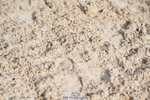 250613A-080124-00878