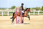 SBM_007050