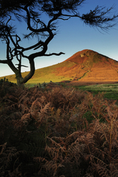North Yorkshire Moors portfolio