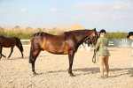 SBM_08590