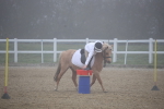 SBM_000983