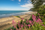 z3102 Fishermans Beach, Shanklin