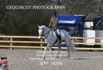 BPP_9095