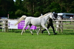 SBM_00028