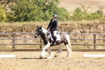 SBM_000824