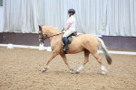 SBM_007313