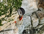 Puffin