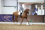 SBM_019615