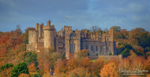 Castle Colours