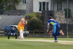 T20 Finals Day portfolio