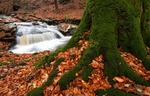 Autumn Falls, Cloughlea, Co Wicklow