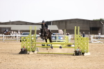 SBM_002919