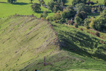 Ilam-31