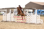 SBM_000461