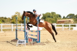 SBM_002929