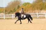 SBM_010462