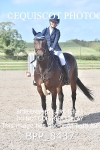 CLASS 36 SUN Equiyd 1.05m Amateur Championship Qualifier portfolio