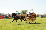 SBM_06681