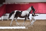 BPP_1620