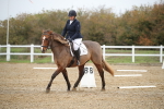 SBM_000491