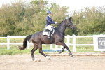 SBM_004175