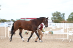 SBM_04008