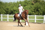 SBM_008692