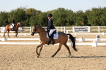 SBM_007031