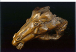 Horse.