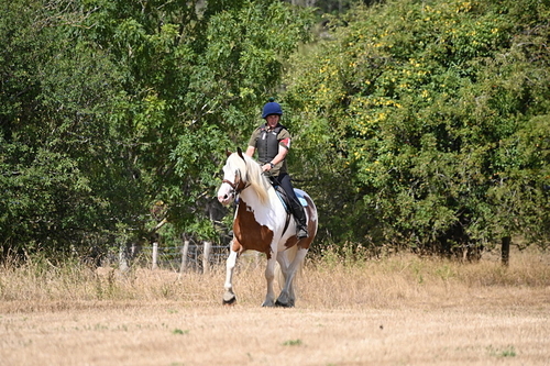WJ6_9198