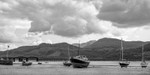 Low Tide