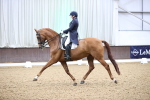 SBM_012033