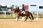 SBM_011435