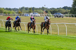 Race 2 14:45 Berber Leather Maiden Stakes portfolio