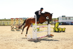 SBM_006931