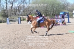 BPP_2078