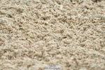 230721A-133010-06572