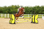 SBM_000782