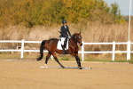 SBM_009256