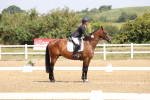 Class 6 - novice 6 - 11.50-12.46 portfolio