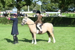 SBM_50325