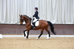 Indoor Arena - 20-4-26 portfolio