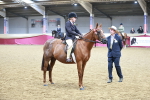 Class 6A Area Ridden Pre-Vet portfolio
