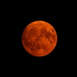 Blood Moon