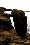 20100901_0269_2