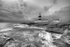 Hook Head (B&W)