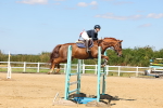 SBM_008313
