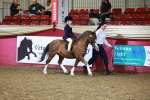SBM_14652