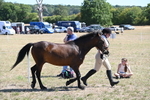 WJ6_8571